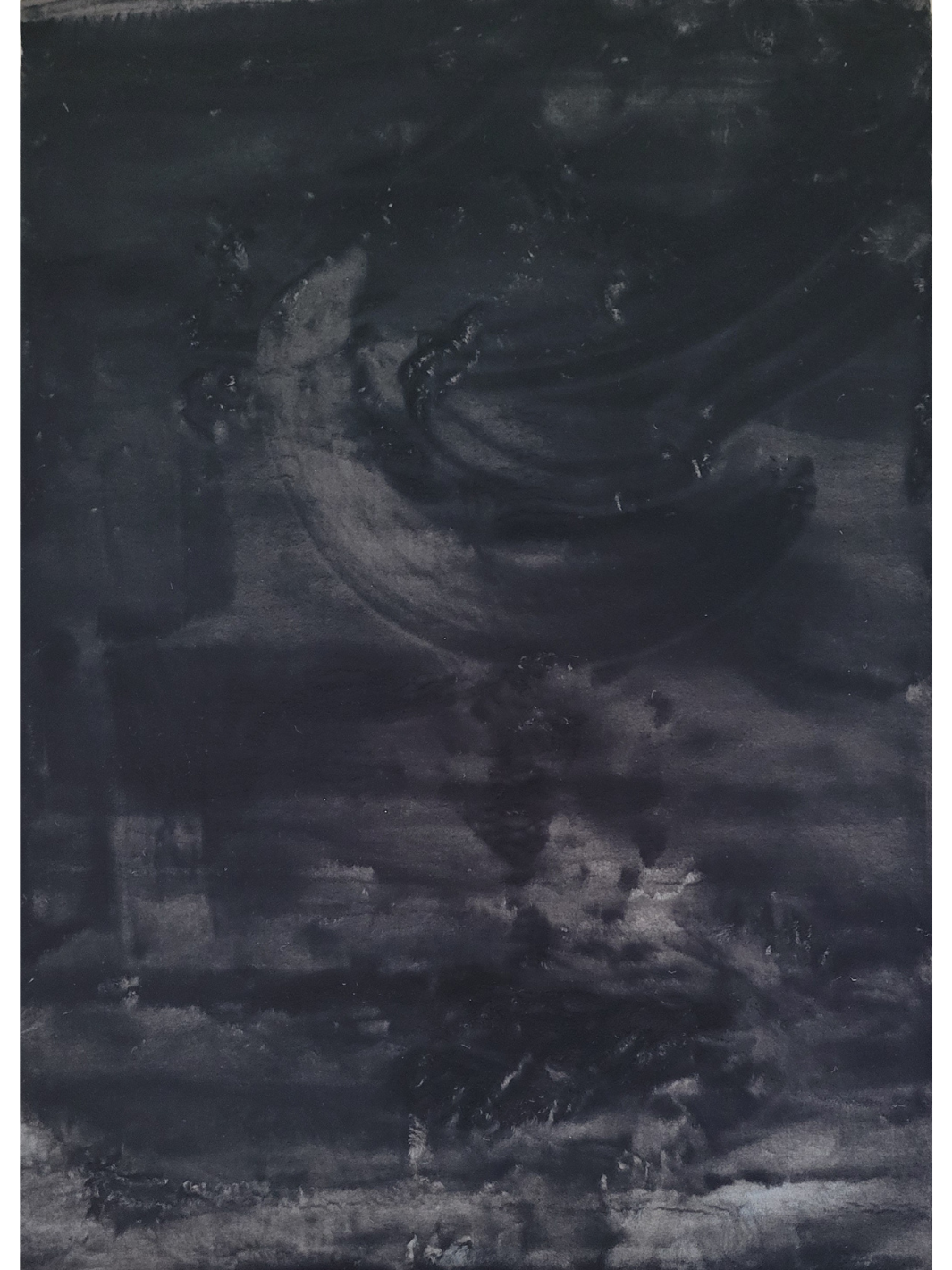 Sophie Black Shag Rug