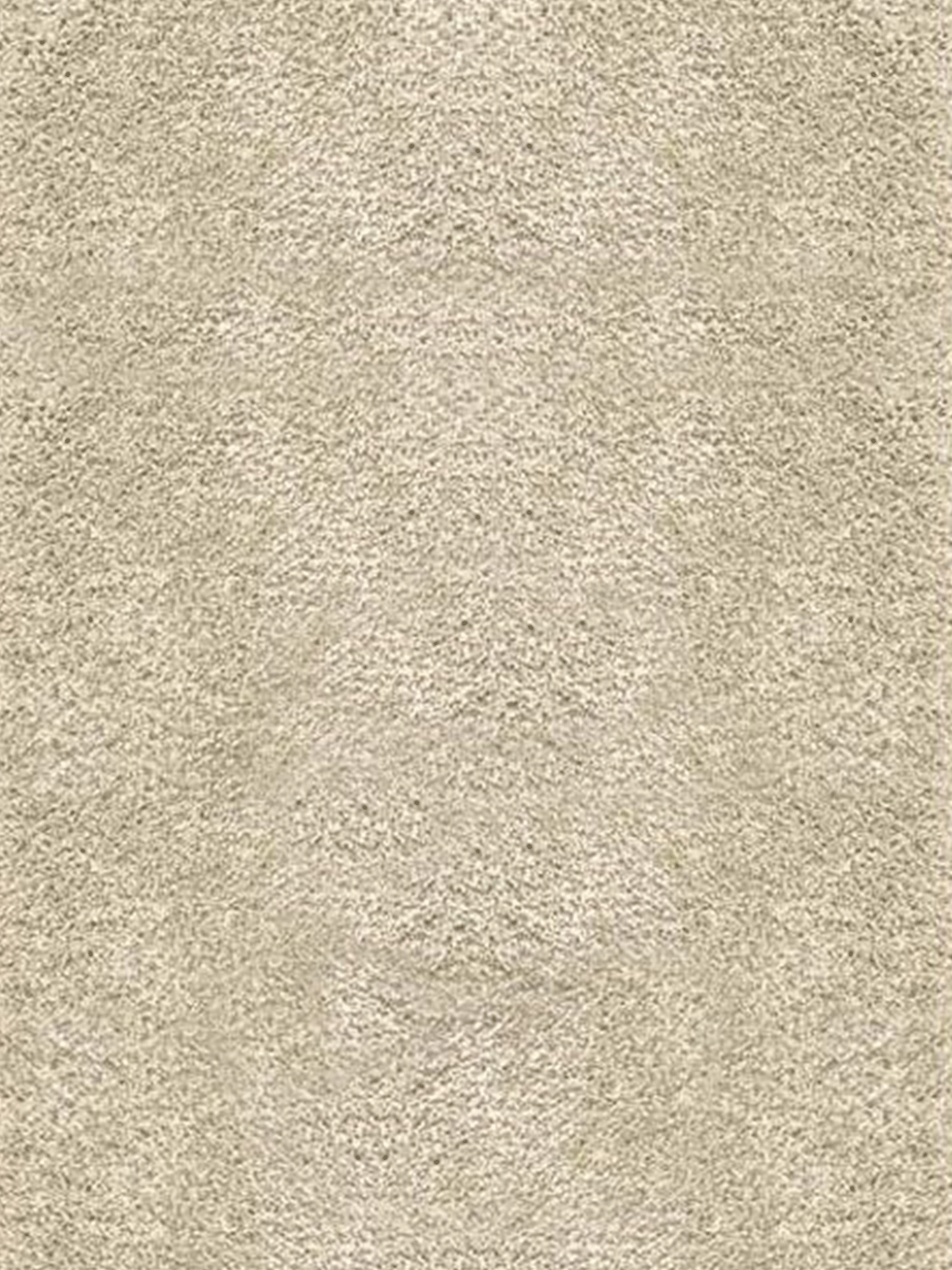 Cosy Taupe Shaggy