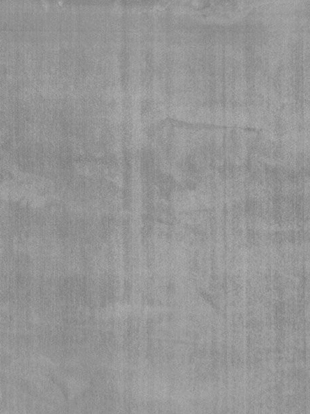 Cosy Light Grey Shaggy