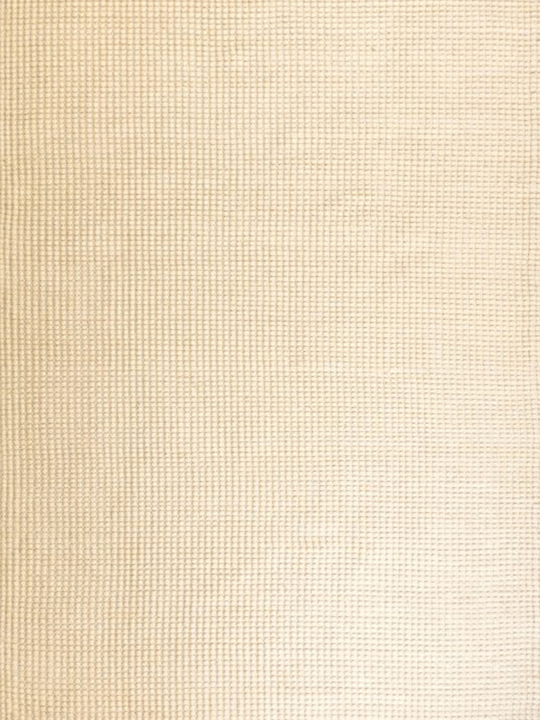Darcy Natural Off-White Felted Wool Rug