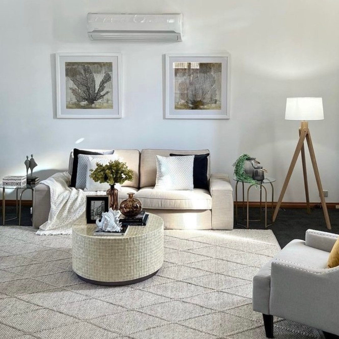 The Rug Lady's Bestsellers: From Vintage Charm to Contemporary Artistr