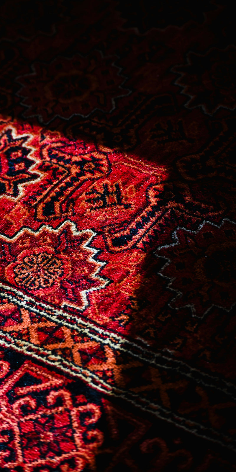 Traditional Rugs