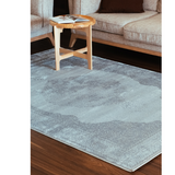Costa Grey Ornate Medallion Bordered Rug