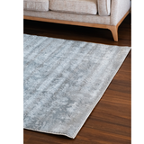 Costa Grey Ornate Transitional Textured Rug