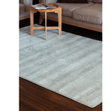 Costa Silver Ornate Transitional Textured Rug