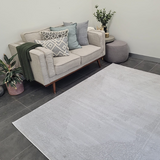 Costa Silver Ornate Medallion Bordered Rug