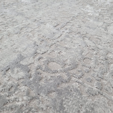Costa Grey Ornate Transitional Textured Rug