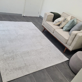 Costa Silver Ornate Transitional Textured Rug