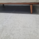 Costa Silver Ornate Transitional Textured Rug