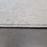 Costa Silver Ornate Transitional Textured Rug