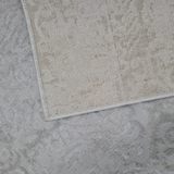 Costa Silver Ornate Transitional Textured Rug