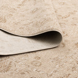 Del Warm Beige Distressed Traditional Rug