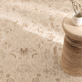 Del Warm Beige Distressed Traditional Rug