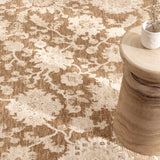 Del Toffee Distressed Border Rug