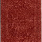 Hera Rust Distressed Medallion Rug