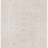 Hera Beige Distressed Border Rug