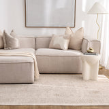 Hera Beige Distressed Border Rug (Premium Tassel Edge)
