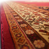 Hive Red Medallion Bordered Rug