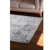 Medina Multi Distressed Medallion Transitional Rug