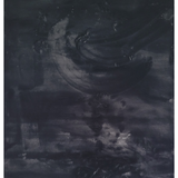 Sophie Black Shag Rug