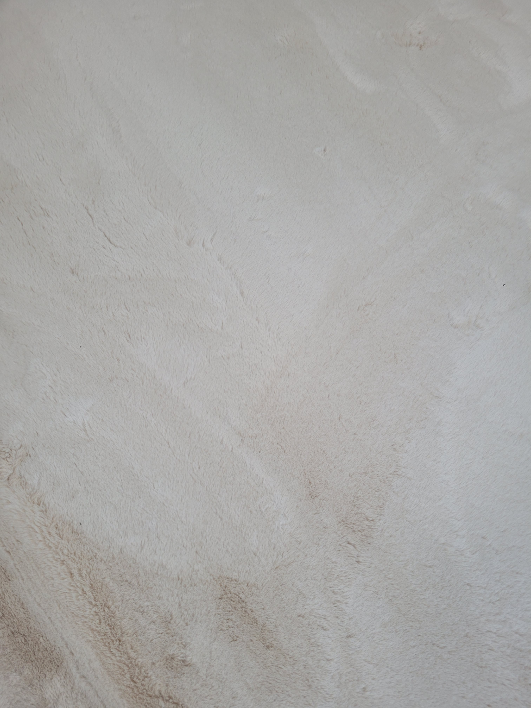 Sophie Light Beige Shag Rug