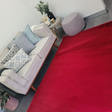 Sophie Red Shag Rug