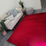 Sophie Red Shag Rug