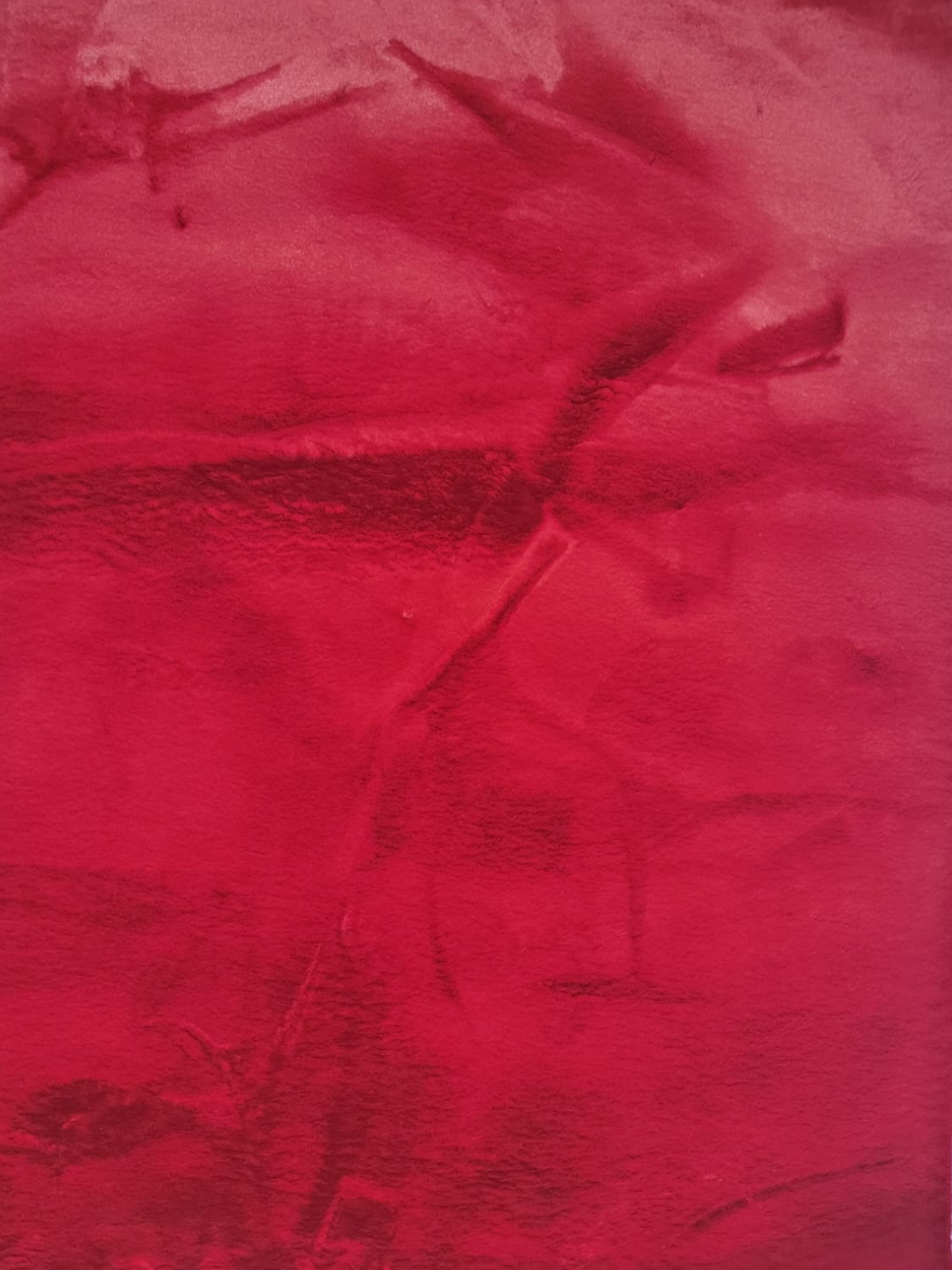 Sophie Red Shag Rug