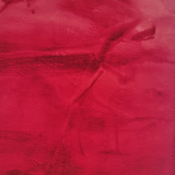 Sophie Red Shag Rug