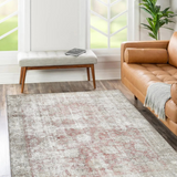 Vivien Natural Red Distressed Transitional Rug