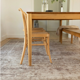 Vivien Grey Brown Distressed Transitional Rug