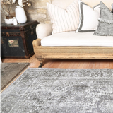 Vivien Grey Transitional Bordered Rug