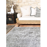 Vivien Grey Transitional Bordered Rug