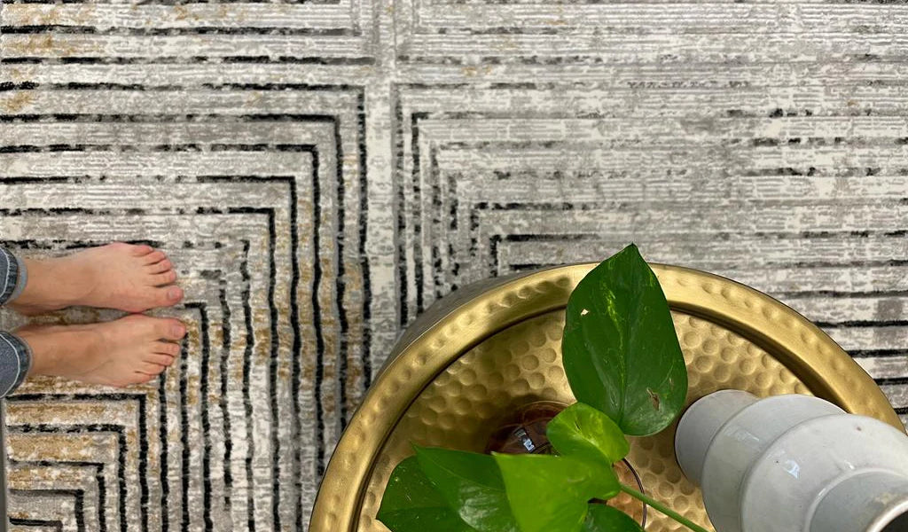 Ali Light Grey and Black Abstract Lines Rug