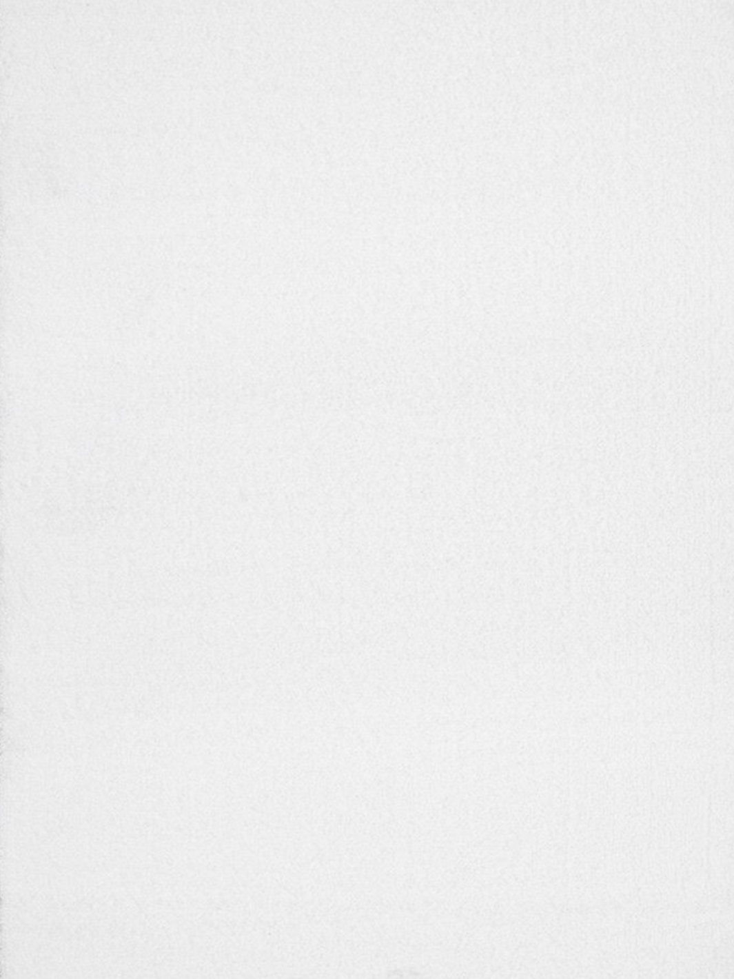 Angelica White Shaggy Rug