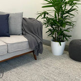 Avani Timeless Grey Loop Rug