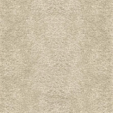 Cosy Taupe Shaggy
