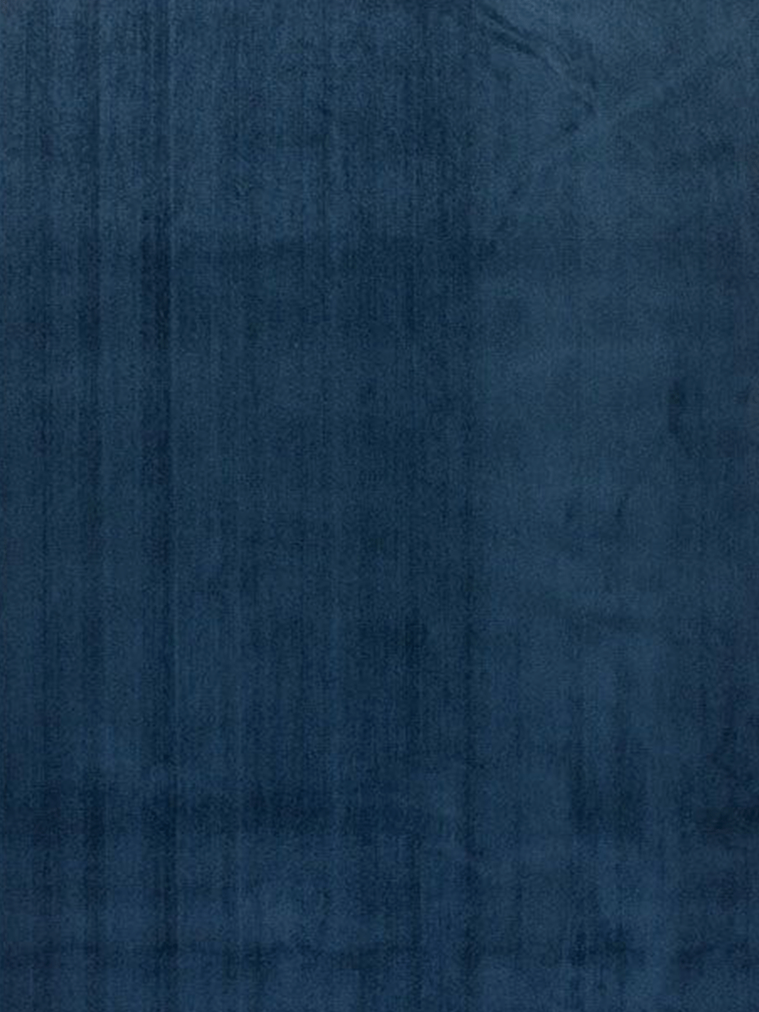 Cosy Blue Shaggy