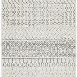 Cameron Silver Ethnic Tribal Pattern Hallway Runner Rug