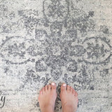 Celine Silver Faded Medallion Distressed Rug