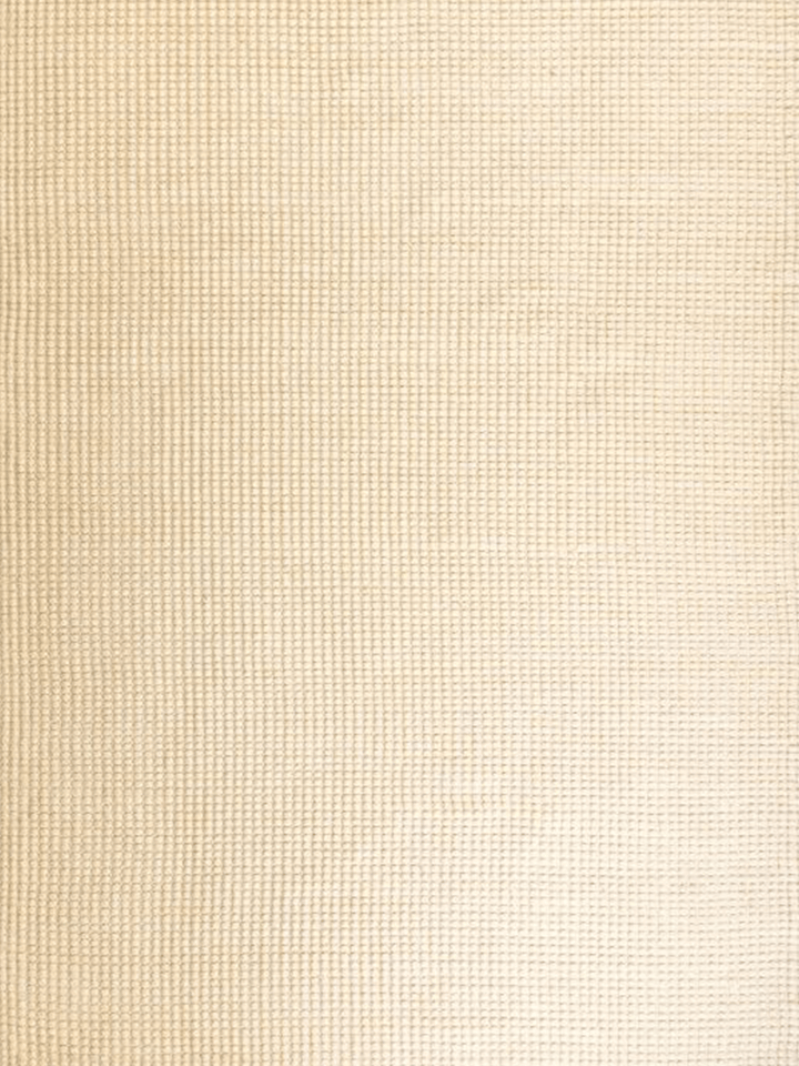 Darcy Natural Off-White Felted Wool Rug