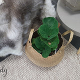 Darcy Beige Felted Wool Rug