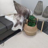 Darcy Natural Off-White Felted Wool Rug