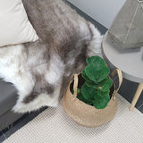 Darcy Natural Off-White Felted Wool Rug