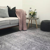 Spirit Silver Oriental Transitional Rug