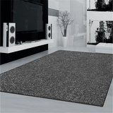 Europe Dark Grey Contemporary Rug