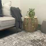 Eliza Beige Grey Medallion Transitional Rug