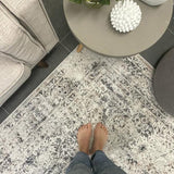 Eliza Grey Oriental Distressed Transitional Rug