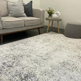Eliza Grey Oriental Distressed Transitional Rug