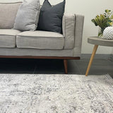 Eliza Grey Oriental Distressed Transitional Rug
